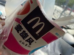 -麦当劳(塔园路店)