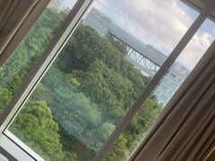 -新加坡柏薇罗切斯特酒店