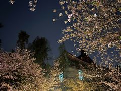 -鸡鸣寺