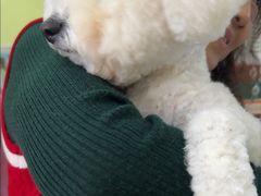 -瑞鹏宠物医院·宠保定点·心脏科·内科(御桥分院)