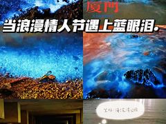 -海沧湾公园