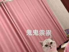 -佳怡动物医院·平价24小时·猫专科骨外科