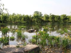 -新江湾城公园