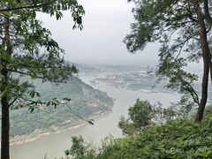 -铁山坪森林公园