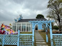 -杭州湾海上花田景区