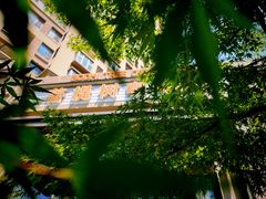 -菩提树咖啡馆日咖晚酒(龙湖店)