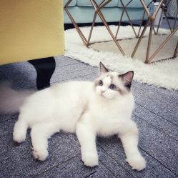 -元一肌肤管理中心