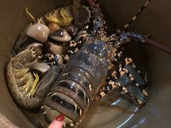 -真浪花园海鲜餐馆