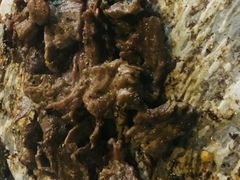 -牛味道炭火烤肉(湖前总店)