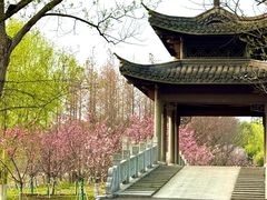 -梁鸿国家湿地公园