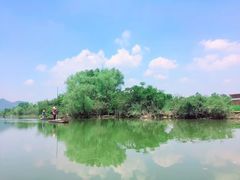 -会仙湿地