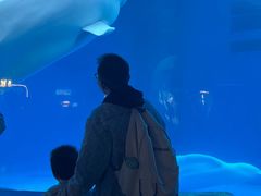 -海合安成都极地海洋公园