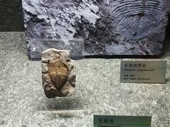 -常州博物馆