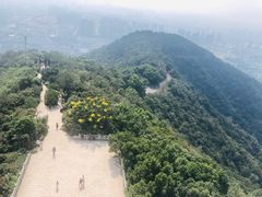 -杭州半山国家森林公园