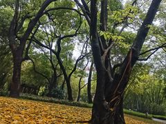 -晓港公园