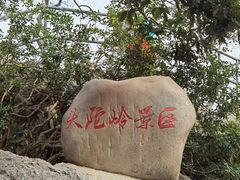 -紫金山山顶公园