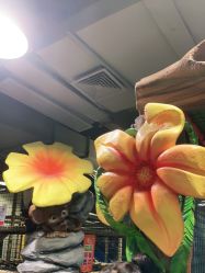 -玩元素·家庭游乐成长中心(香格里拉店)