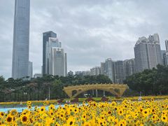 -海心沙亚运公园
