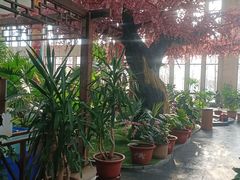 -北黄海温泉度假村