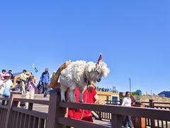 -新疆那拉提国家旅游度假区