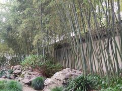 -秋霞圃