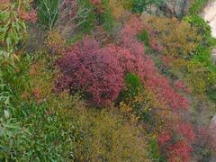 -北京凤凰岭