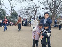 -紫金山山顶公园