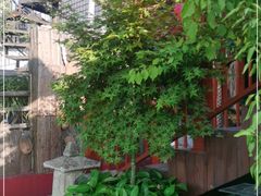 -萨芭蒂高空花园餐酒吧