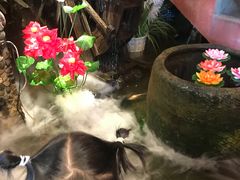 -京都小酒馆(悦城店)