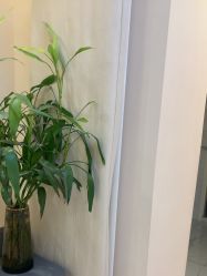 -苗方清颜•痘肌问题肌专研