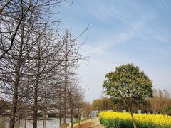 -上海海事大学(临港校区)