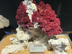 -许家山