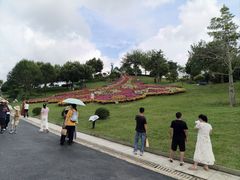 -东莞植物园