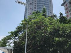 -厦门泰谷酒店(中山路镇海路地铁站店)