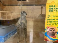 -平行世界·猫咖(首经贸店)