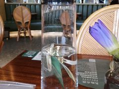 -苏梅花园(群星城店)