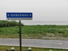 -七的湖·晚芳亭·阳澄湖农家菜·大闸蟹(莲花岛店)