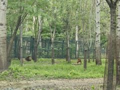 -秦皇岛野生动物园