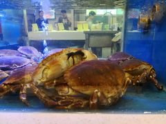 -BHG Market Place(水游城店)