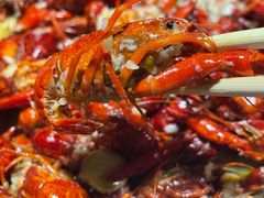 -蛙蛙叫干锅年代(簋街总店)