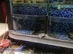 -方记洪阳餐厅(福田新村店)