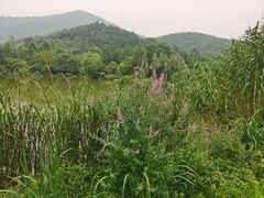 -石塘人家