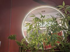 -7号院家宴.烧鸽子(门头沟店)