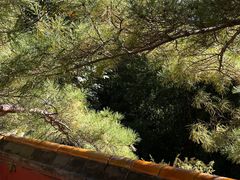 -潭柘寺景区
