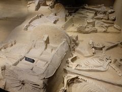 -洛阳周王城天子驾六博物馆