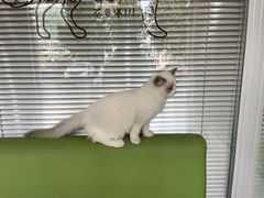 -美迦爱-牙专科·兔科·骨科诊疗中心(北苑店)