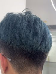 -T8 SALON