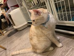 -小时光咖啡馆(北锣鼓巷店)