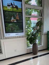 -爱儿美儿童摄影(五路居花园别墅店)