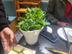 -野菌皇海景野生菌火锅(滨海大道店)